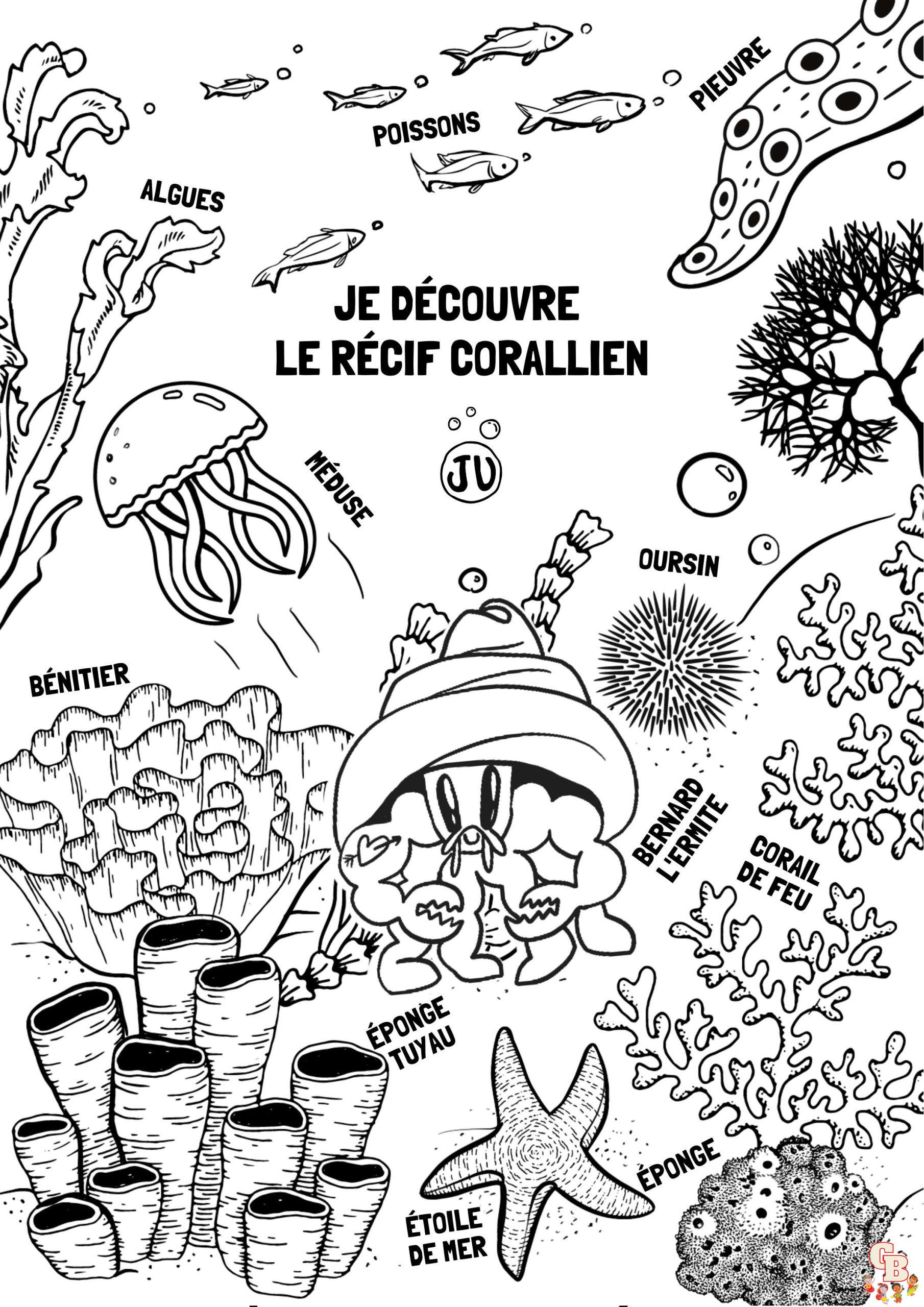 Coloriage Mammiferes marins