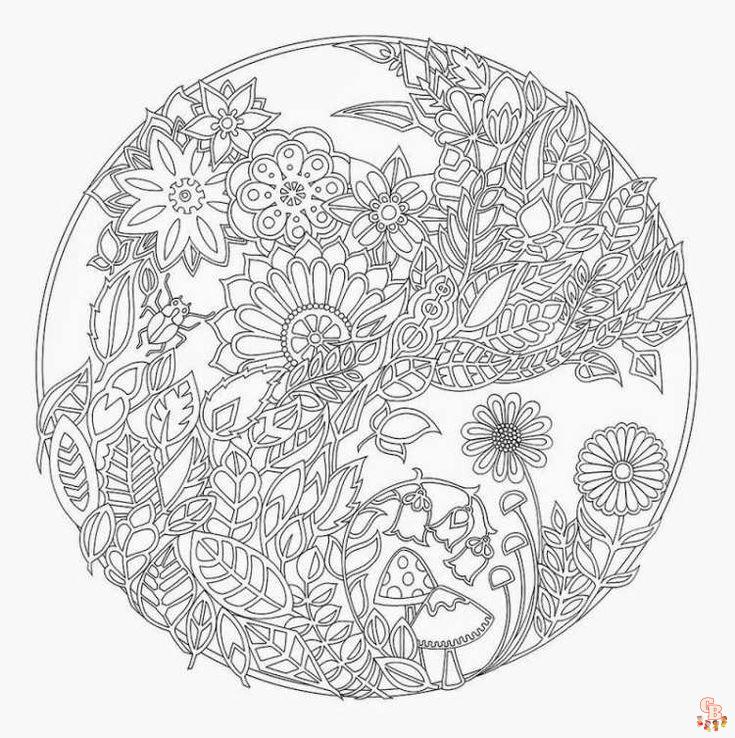 Coloriage Mandala nature