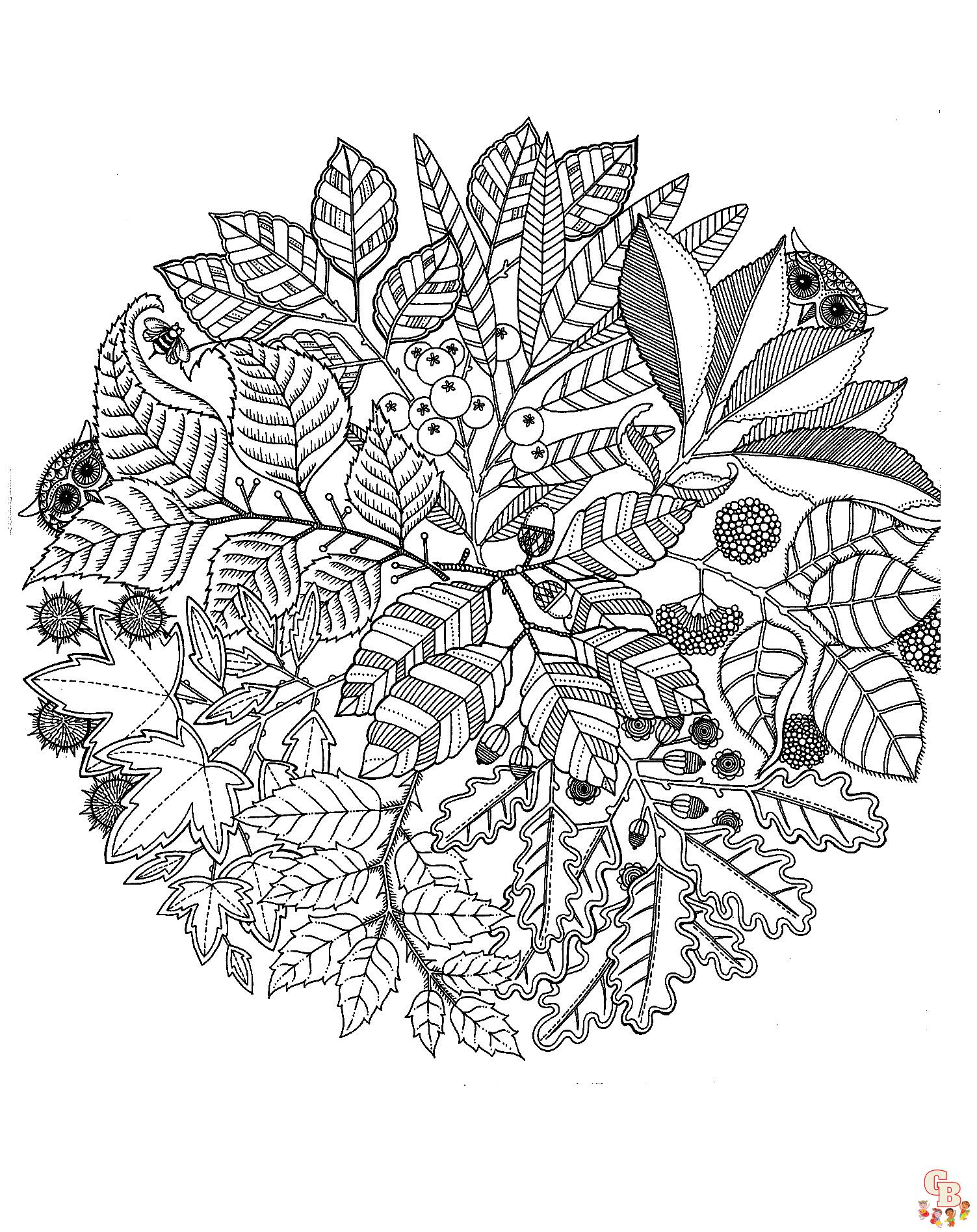 Coloriage Mandala nature