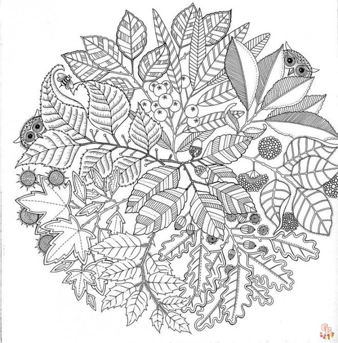 Coloriage Mandala nature