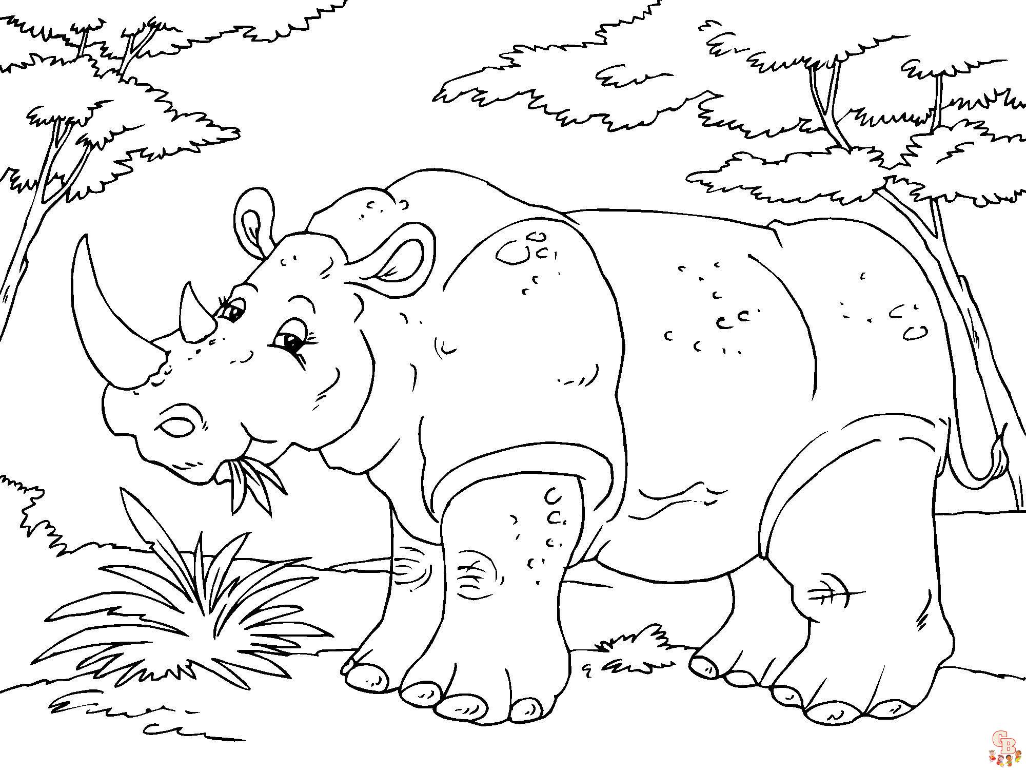 Coloriage Rhinoceros